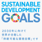 About the SDGs