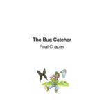 The Bug Catcher <br>Final Chapter